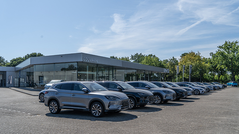 Louwman BYD Breda